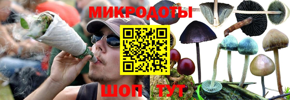 Ступино  Псилоцибиновые грибы мухоморы  Вход с VPN 